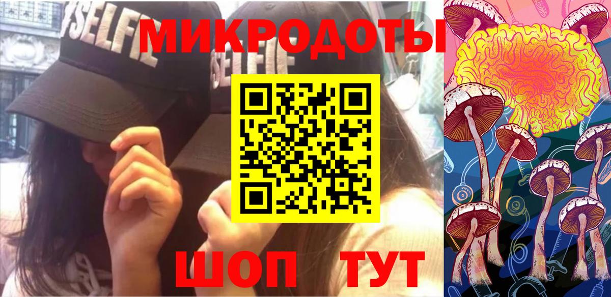 Галлюциногенные грибы Psilocybine cubensis Касимов