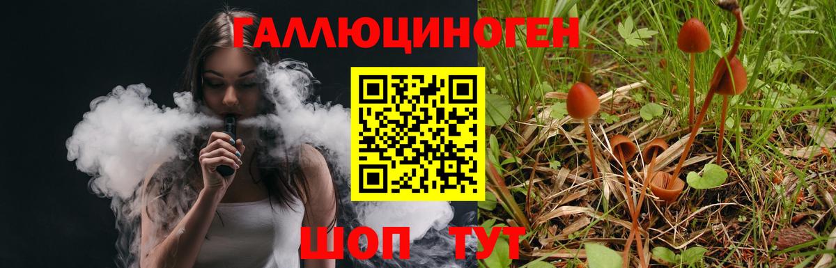 Касимов  Псилоцибиновые грибы прущие грибы  Вход с VPN  Галлюциногенные грибы GOLDEN TEACHER 